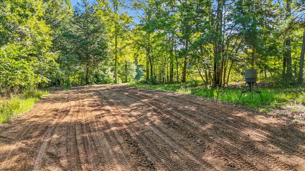 More Photos Of 1443 Henderson Rd, Gray Court Land For Sale