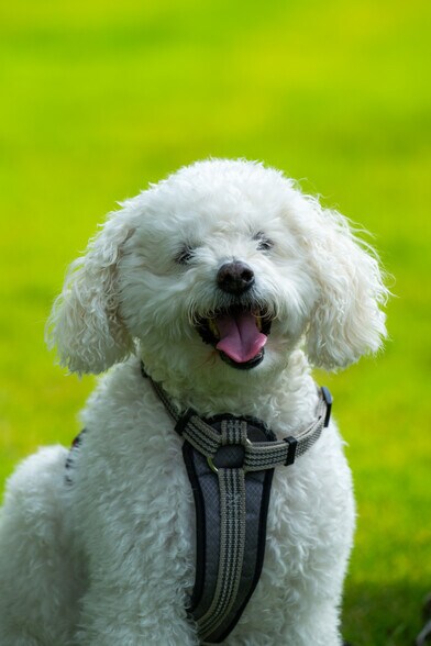 More Photos Of 2209 S First St, Austin Apartments For Sale