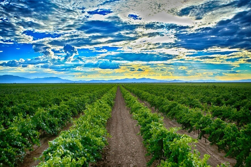 More Photos Of NWC E Kimzey Rd and Bell Ranch Rd, Willcox Land For Sale