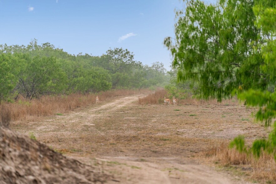 More Photos Of 141 S Private Road 1026, Kingsville Land For Sale