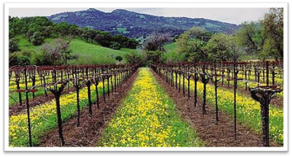 More Photos Of 2522 Mankas Corner Rd, Fairfield General Retail For Sale