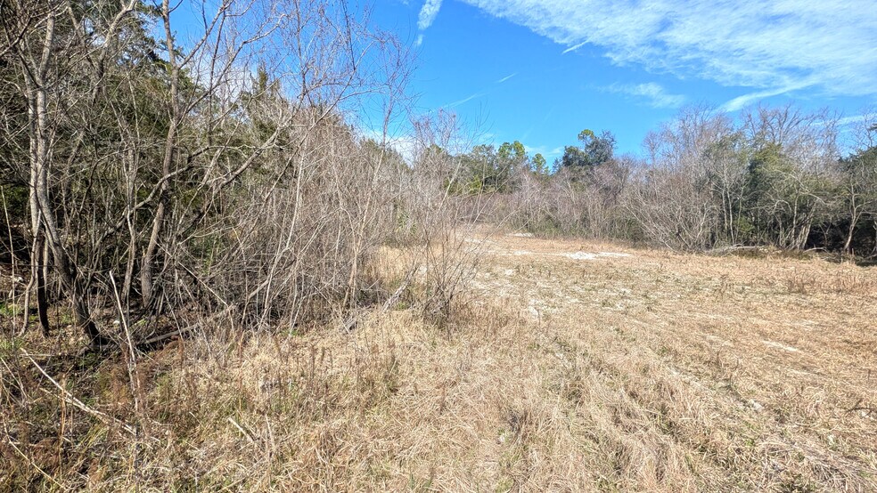 More Photos Of 13550 NW Old Fannin Rd, Chiefland Land For Sale