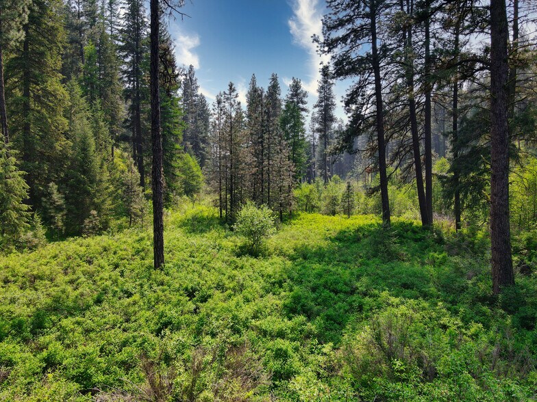 More Photos Of 45XXX Devore Rd, Davenport Land For Sale