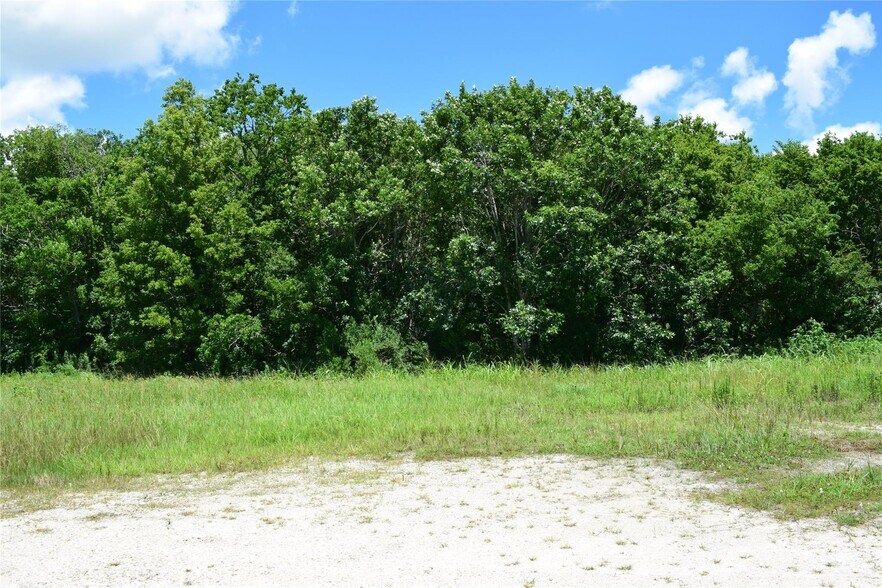 More Photos Of Highway 35, Pearland Land For Sale