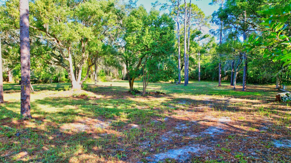 More Photos Of 6501 Gant Rd, Tampa Land For Sale