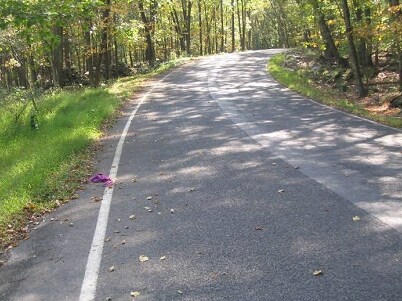 More Photos Of 389 Woodland Rd, Accord Land For Sale