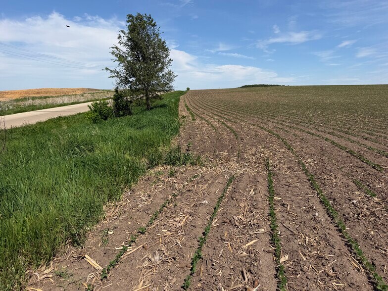 More Photos Of TBD 31st NW Ave @ HWY 52/75th Street NW, Oronoco Land For Sale