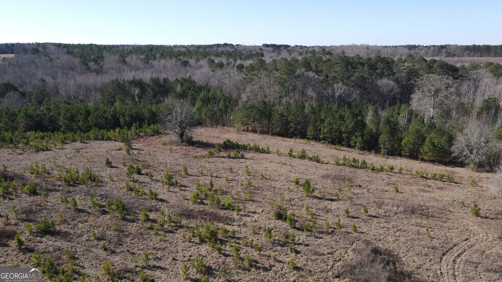 More Photos Of 0 Old Chipey Rd, Pine Mountain Land For Sale