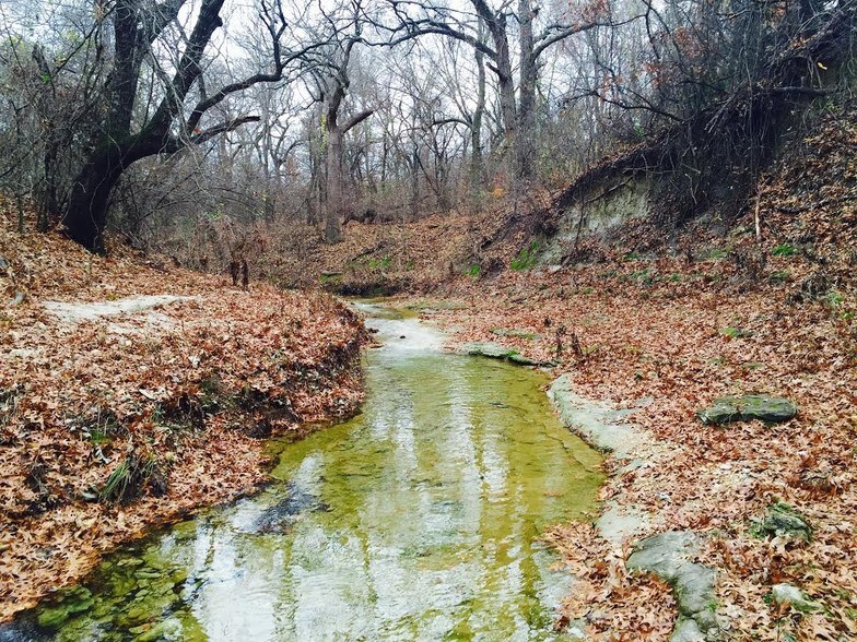 8401 Old Springtown Rd, Springtown, TX 76082 Land For Sale