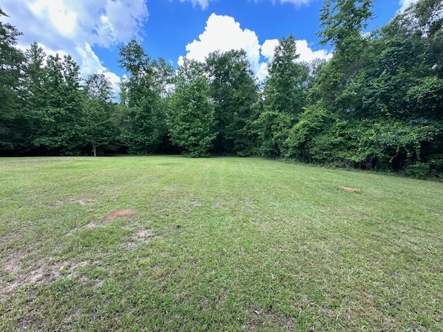 More Photos Of 8659 Hillview Dr, Meridian Land For Sale