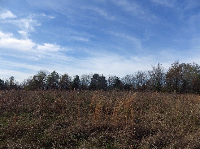 More Photos Of Reed Road Highway 82, Starkville Land For Sale