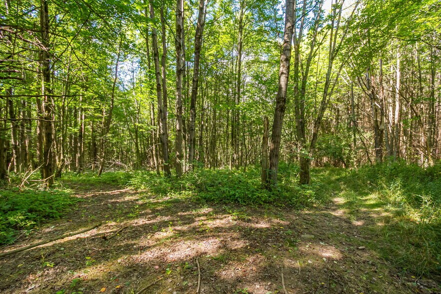 More Photos Of 9545 Redman Rd, Fillmore Land For Sale