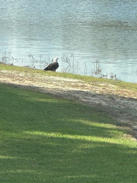 More Photos Of 15400 S US Highway 301, Summerfield Office For Sale