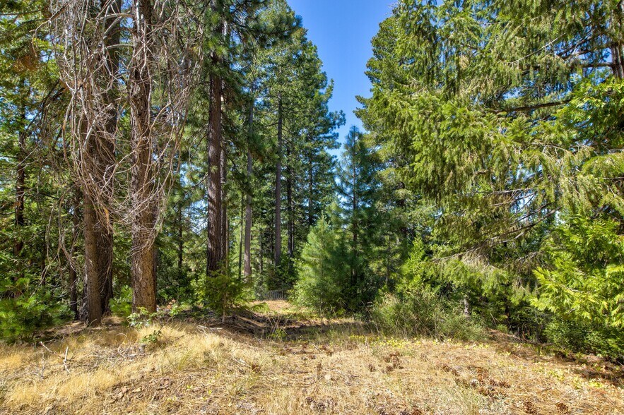More Photos Of Texas Hill Rd, Emigrant Gap Land For Sale
