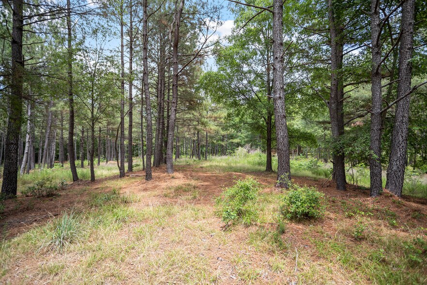 More Photos Of 414 New Elam Church Rd, Moncure Land For Sale