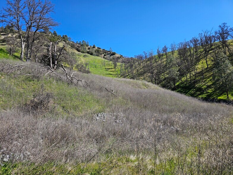 More Photos Of 25156 State Highway 20, Clearlake Oaks Land For Sale