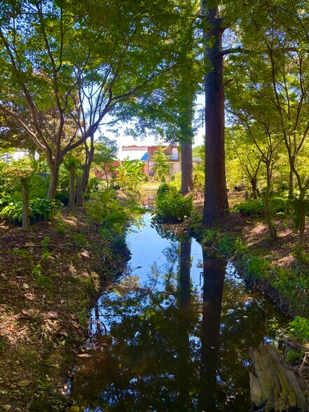 More Photos Of 153 Franklin St, Hot Springs Land For Sale