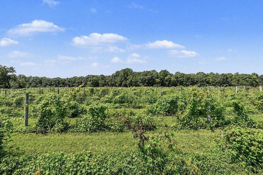 More Photos Of 495 Meadow Landing Ln, Caret Winery Vineyard For Sale