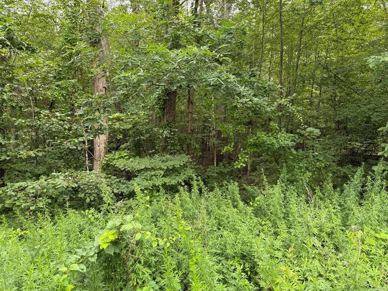 More Photos Of 0 Sally Burr Rd, Litchfield Land For Sale