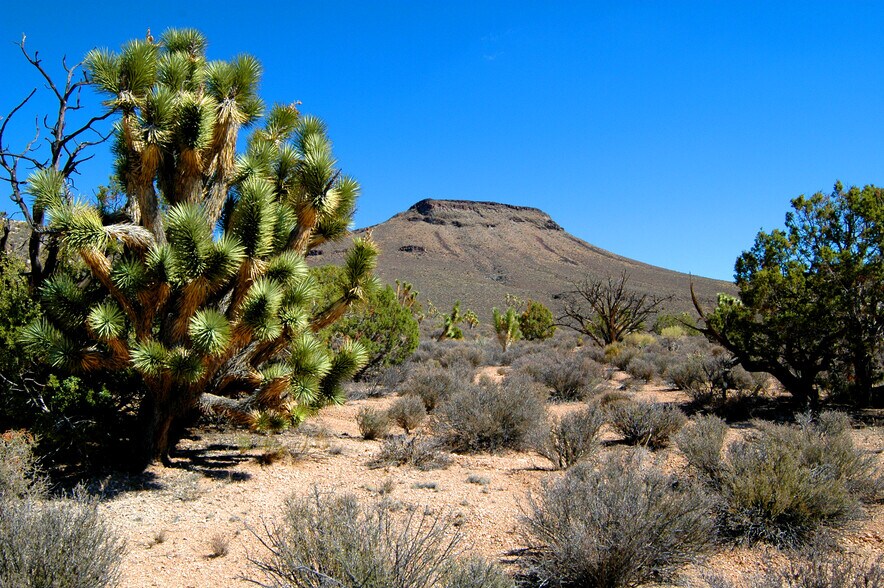 More Photos Of 5838 E Diamond Bar Rd, Meadview Land For Sale