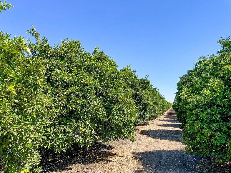 More Photos Of Bena Rd., Bakersfield Land For Sale