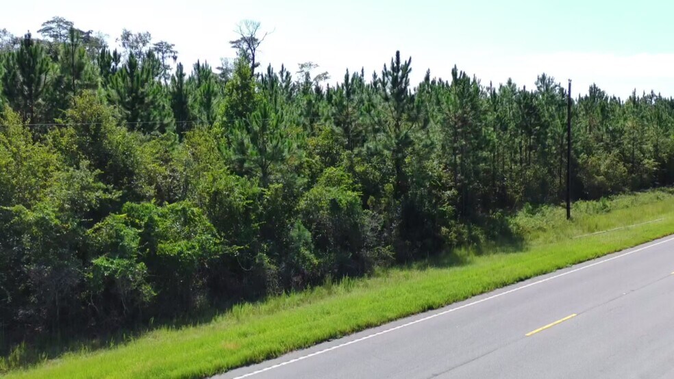 Primary Photo Of E/S of Pearson Highway at Cowart Road, Homerville Land For Sale