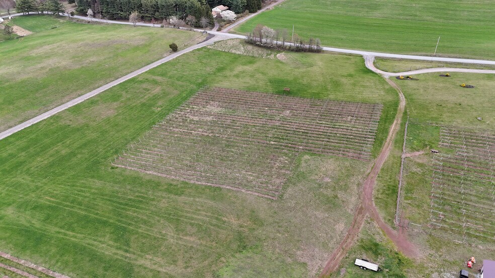 More Photos Of 596 Harman Rd, Halifax Winery Vineyard For Sale