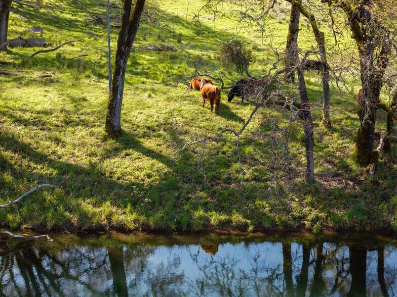 More Photos Of 5155 Mill Creek Rd, Talmage Land For Sale