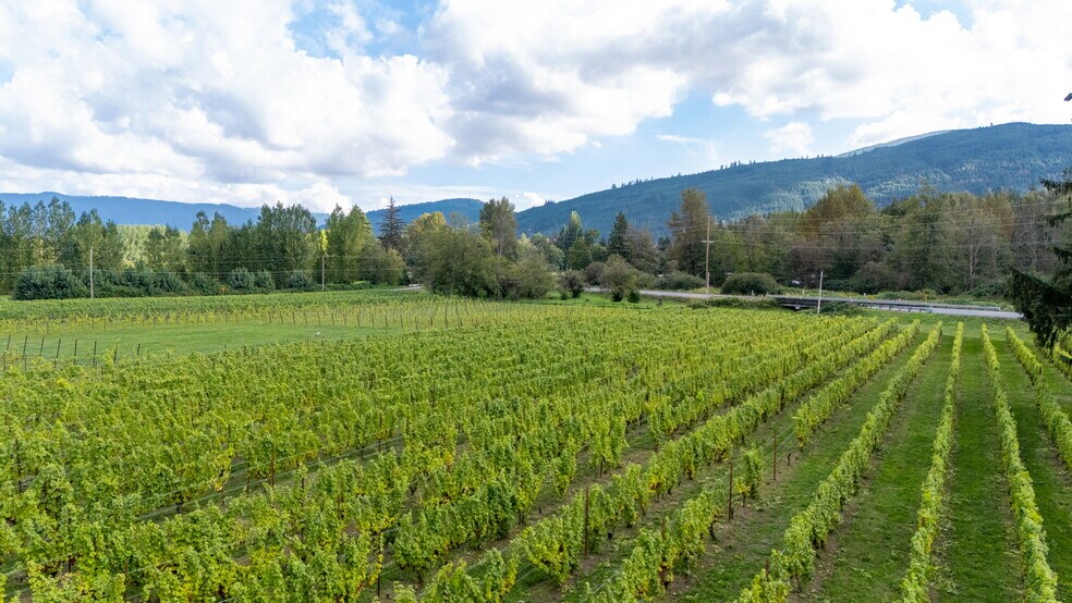 More Photos Of 4290 Mt Baker hwy, Everson Winery Vineyard For Sale