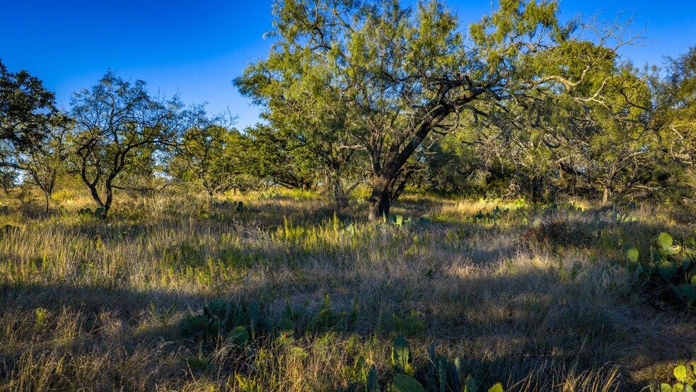More Photos Of 7499 US 87 hwy, Mason Land For Sale