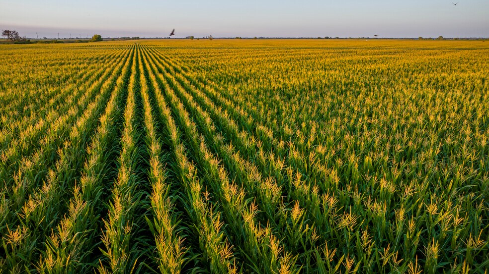 More Photos Of TFC Ranch, Lodi Land For Sale