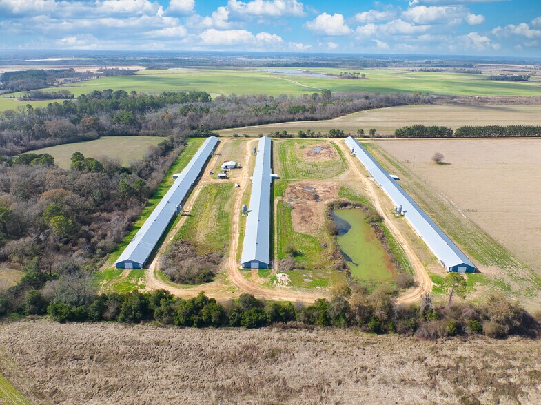 More Photos Of 441 Weaver Rd, Moultrie Land For Sale