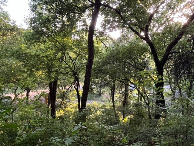 More Photos Of 1878 W Belt Line Rd, Cedar Hill Land For Sale