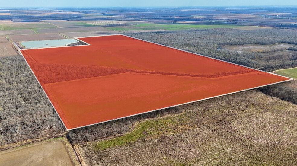 Primary Photo Of Nipps Wilkerson 280, Humnoke Land For Sale