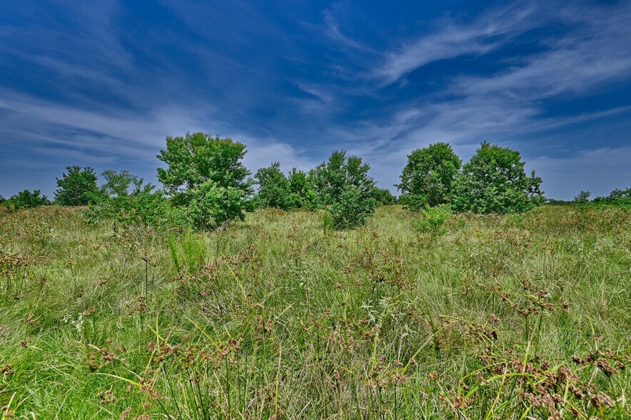 More Photos Of Hwy 290 & James R Muse Parkway, Hempstead Land For Sale