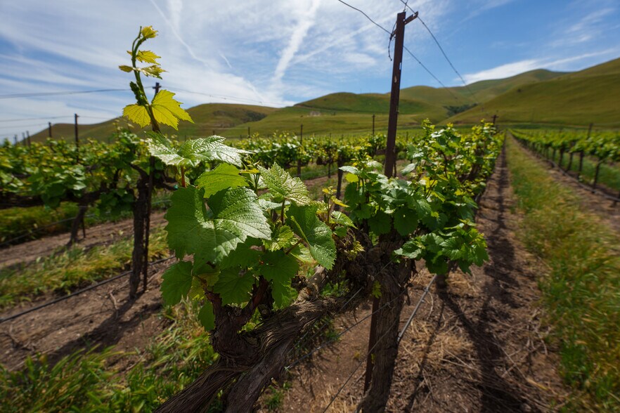 More Photos Of 38156 Elm Ave, Greenfield Land For Sale