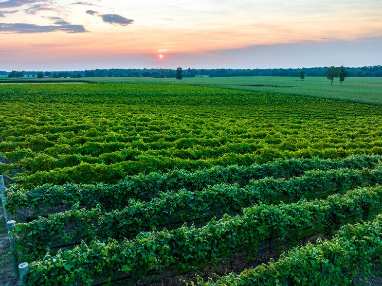 More Photos Of 27058 Mount Pleasant Rd, Columbus Winery Vineyard For Sale