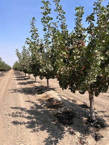 More Photos Of Idaho Ave @ 5th Avenue, Hanford Land For Sale