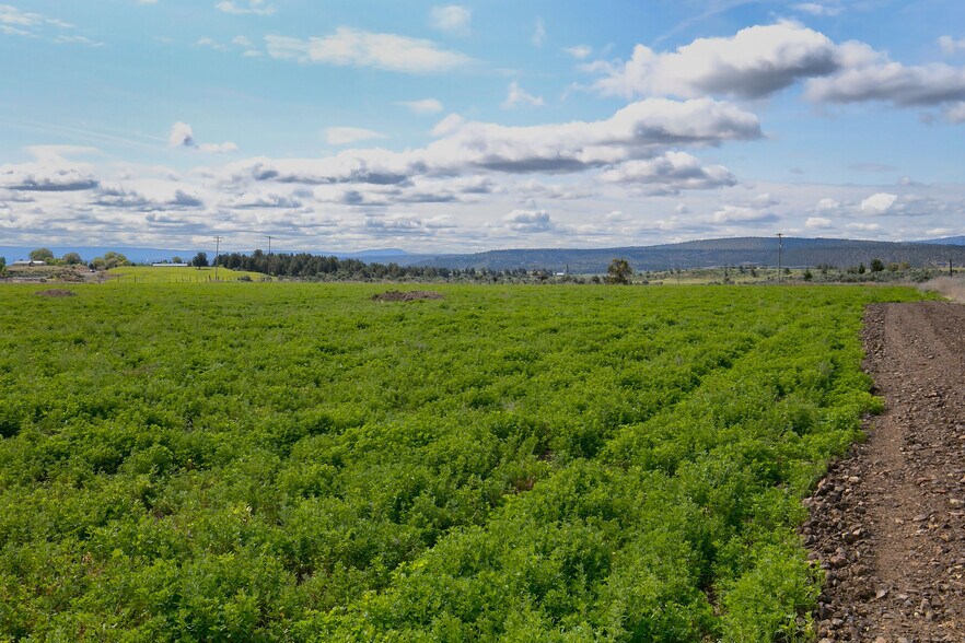 More Photos Of 7555 Madras-Prineville hwy, Madras Land For Sale