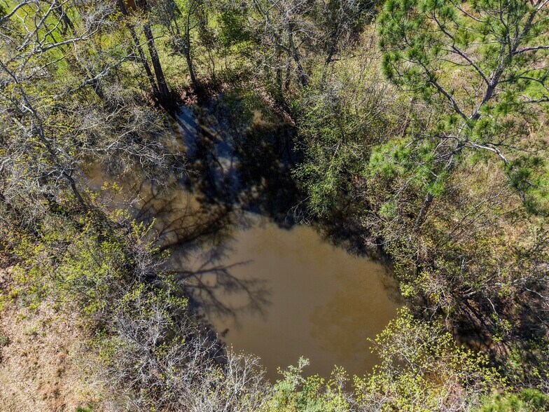 More Photos Of 31775 Hwy 59, Loxley Land For Sale