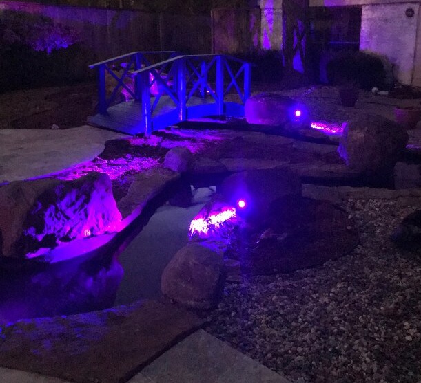 More Photos Of 25910 Oak Ridge Dr, Spring Office For Sale