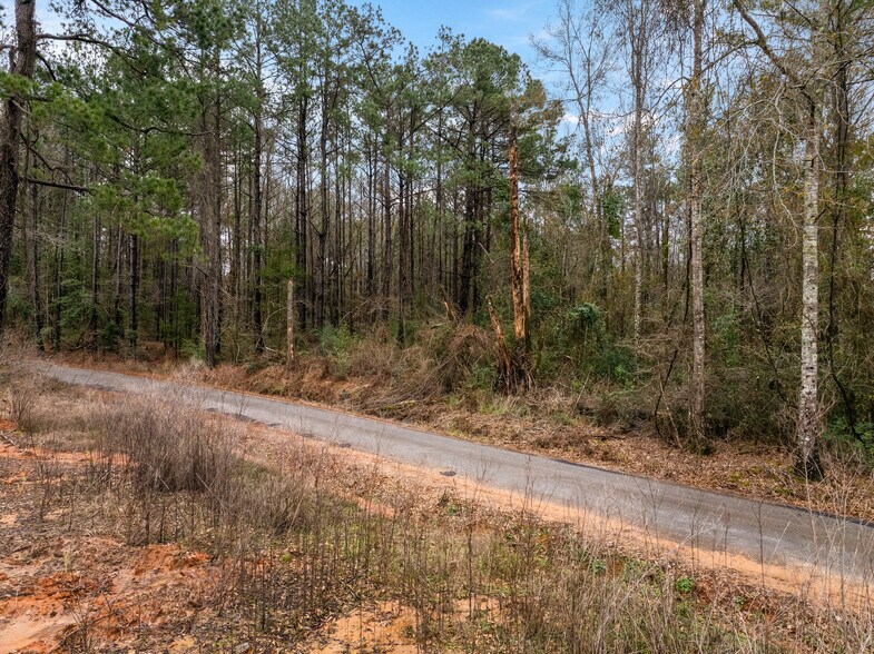 More Photos Of TBD 25 acres Tatoo Road, Glenmora Land For Sale