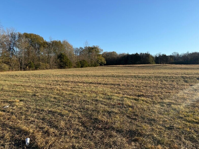 More Photos Of Harrison Street US Hwy 69, Batesville Land For Sale