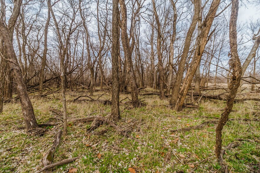 More Photos Of 79+/- Acres on 272nd Rd. Rd @ 41st Rd, Arkansas City Land For Sale