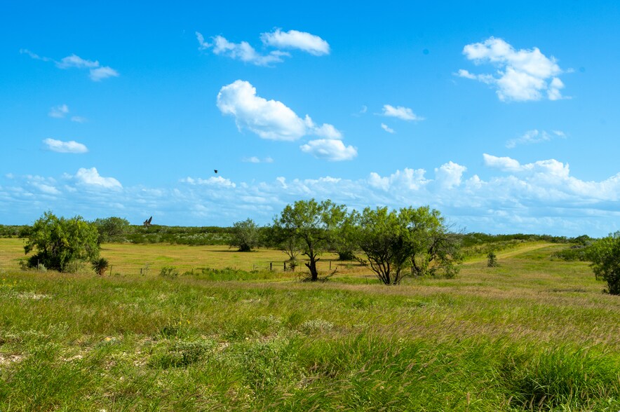 More Photos Of Las Brisas Road, Rio Grande City Land For Sale