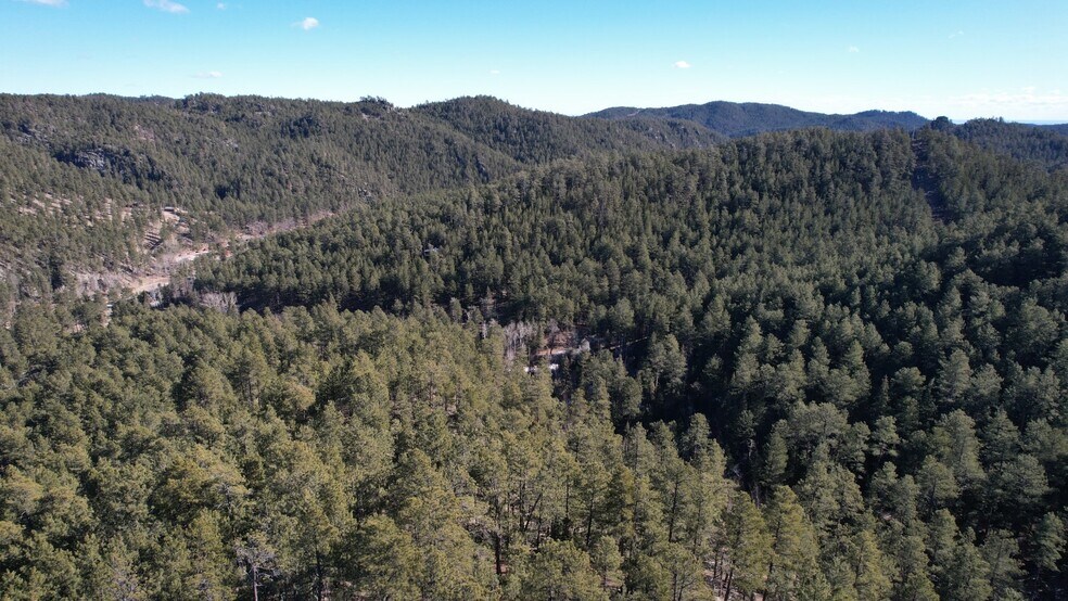 More Photos Of 1201A Old Hill City Rd, Keystone Land For Sale