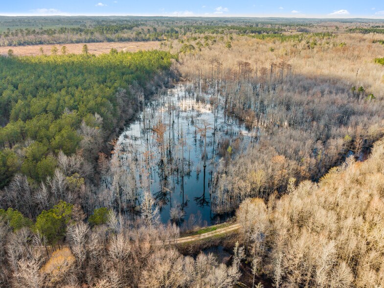 More Photos Of 7471 Hwy 155, Saline Land For Sale