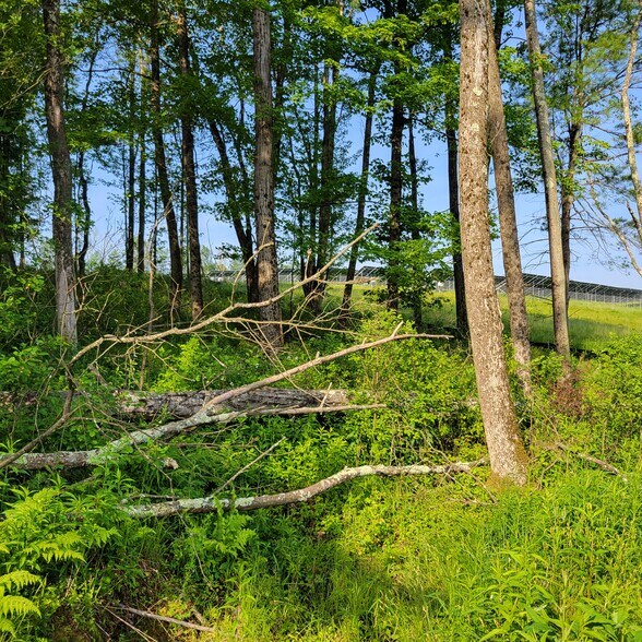 More Photos Of 1283 Old Route 17, Ferndale Land For Sale