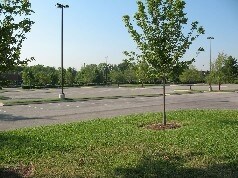 More Photos Of 652 Grassmere Park Dr, Nashville Land For Sale