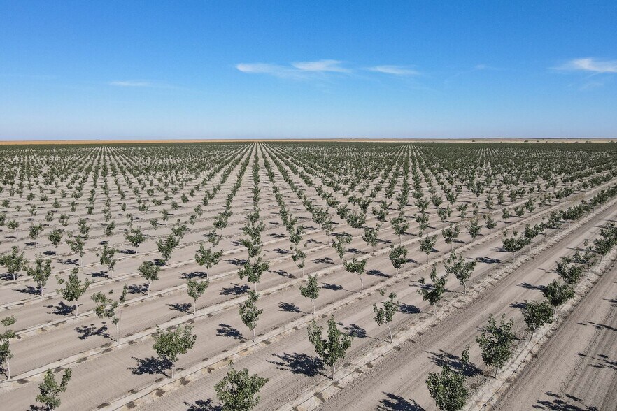 Avenue 54, Alpaugh, CA 93201 Land For Sale